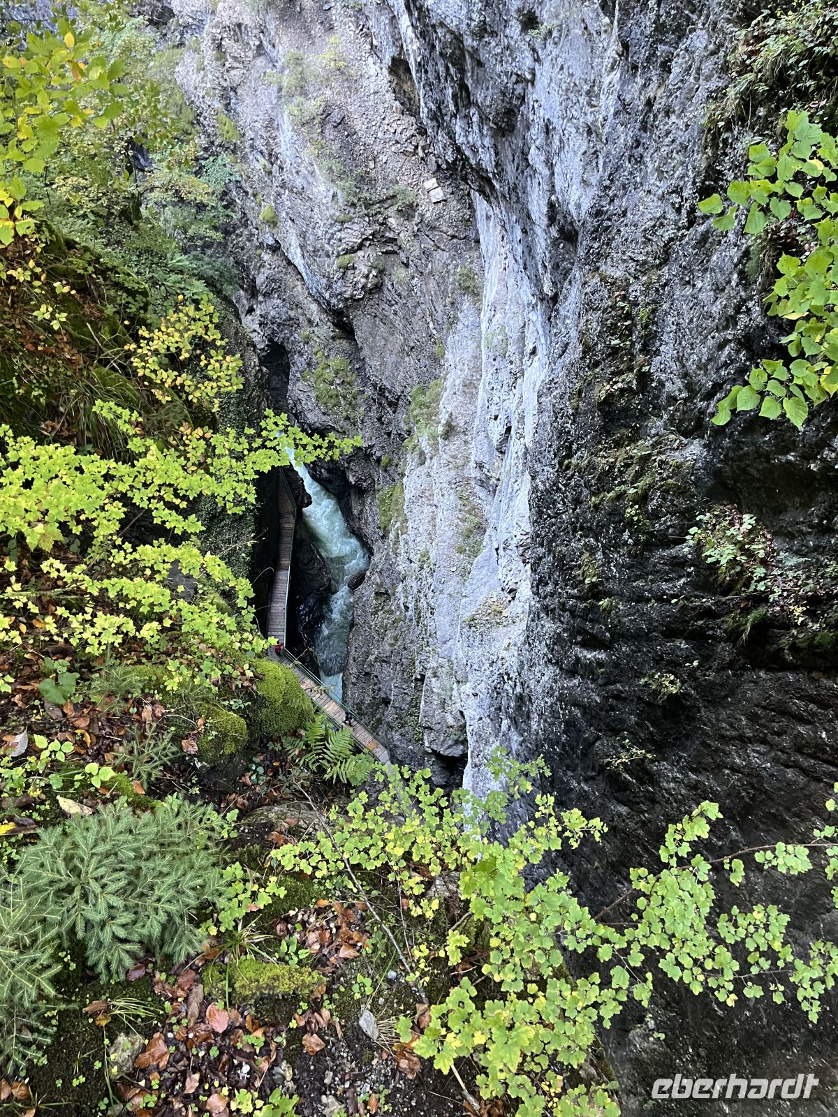 Blick in die Tiefen der Schlucht