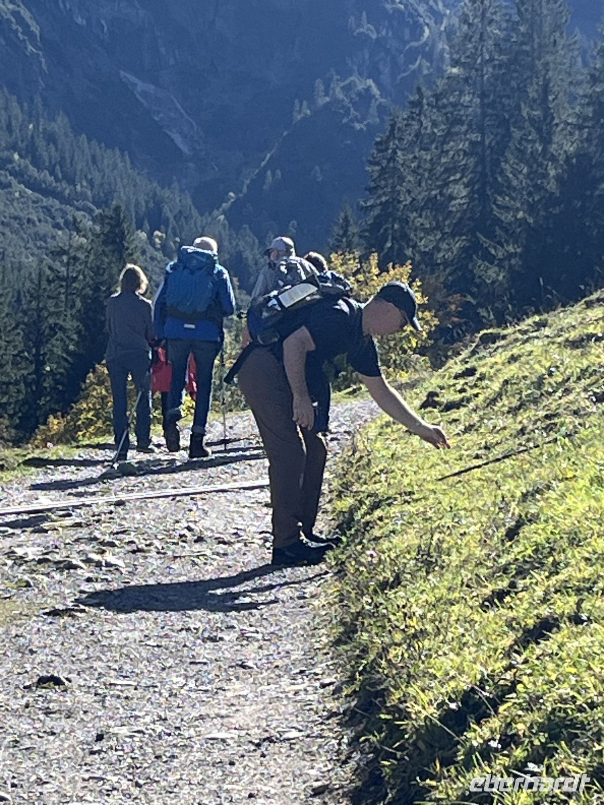 Gemsteltal entlang des Gemstelbachs