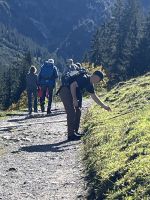 Gemsteltal entlang des Gemstelbachs