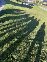 Ganz - Große Wandergruppe!!!