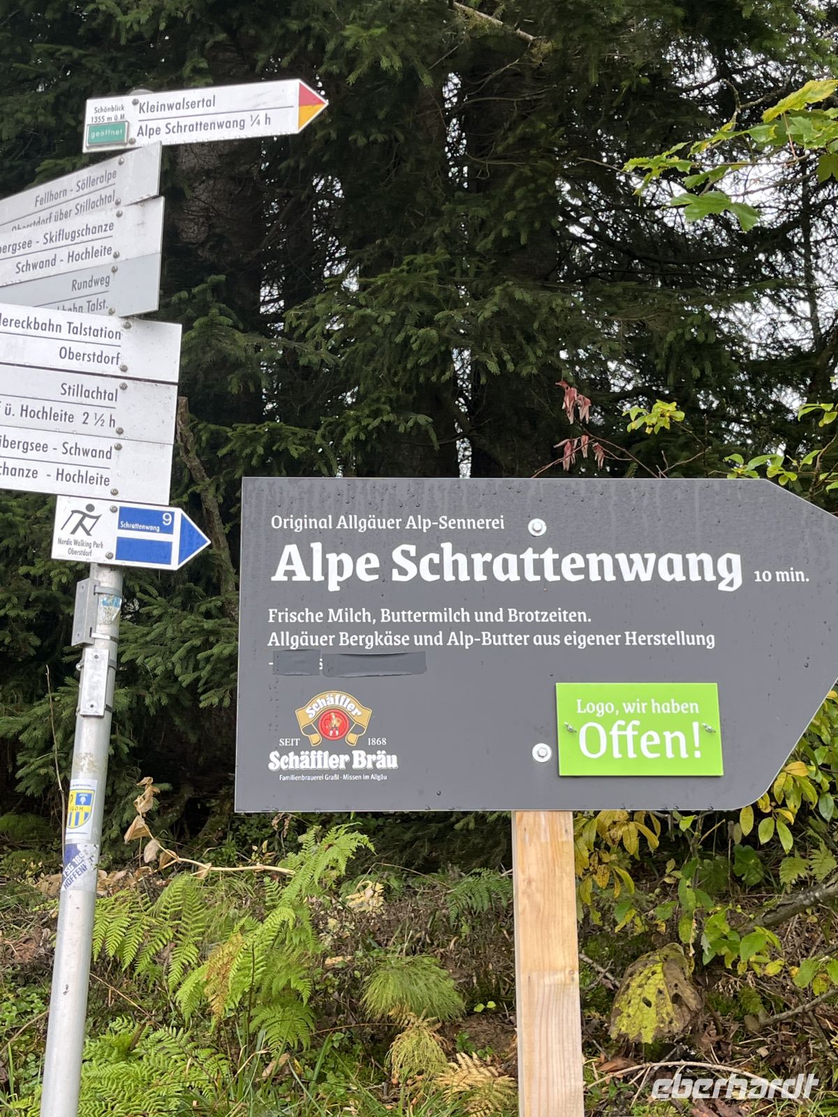 auf dem Alpe Schrattenwang - Richtung Kleinwalsertal