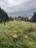 egal, wie das Wetter ist, wir sind gut gewappnet 