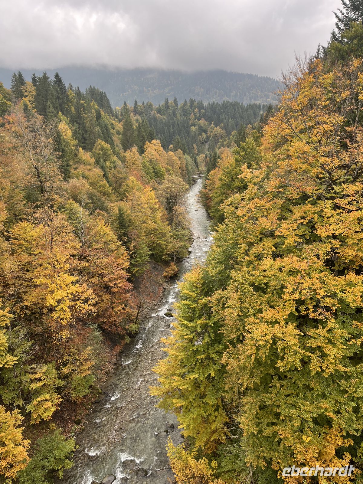 letzter Gang über die Breitach