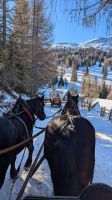 Pferdeschlittenfahrt