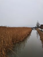 Neusiedler See
