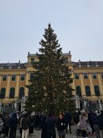 Schönbrunn