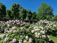 Spaziergang durch den Burggarten in Wien &ndash; &copy; Andrey Kulikov (Eberhardt TRAVEL)