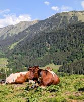 Frieden &ndash; &copy; Marlies Krause (Eberhardt TRAVEL)