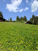 saftige Wiesen und strahlender Sonnenschein &ndash; &copy; Marlies Krause (Eberhardt TRAVEL)