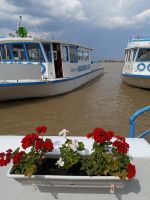 Hafen Neusiedlersee  &ndash; &copy; Bernd Lahmann (Eberhardt TRAVEL)
