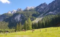 Almwiesen am Gosausee  &ndash; &copy; Anke Nicke (Eberhardt TRAVEL)