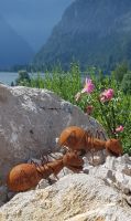 Bad Goisern - im Garten von Rainer und Doris - Ameisen, über die man sich freut &ndash; &copy; Anke Nicke (Eberhardt TRAVEL)