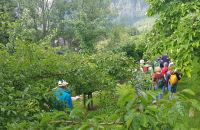 Bad Goisern - im Garten von Rainer und Doris - eine Fülle an Obstsorten &ndash; &copy; Anke Nicke (Eberhardt TRAVEL)