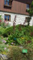 Alpengarten Bad Aussee 10 &ndash; &copy; Anke Nicke (Eberhardt TRAVEL)