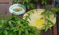 Der Privatgarten von Rainer und Doris Feichtinger in Bad Goisern  - naturnah und bienenfreundlich &ndash; &copy; Anke Nicke (Eberhardt TRAVEL)