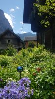 Hallstatt - im Garten von Uli und Vinzenz 04 &ndash; &copy; Anke Nicke (Eberhardt TRAVEL)