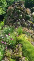 Alpengarten Bad Aussee 02 &ndash; &copy; Anke Nicke (Eberhardt TRAVEL)
