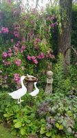 Strobl - im Garten von Elisabeth 09 &ndash; &copy; Anke Nicke (Eberhardt TRAVEL)