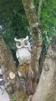 Bad Goisern - im Garten von Resi und Andy 09 &ndash; &copy; Anke Nicke (Eberhardt TRAVEL)
