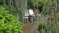 Strobl - im Garten von Elisabeth 14 &ndash; &copy; Anke Nicke (Eberhardt TRAVEL)