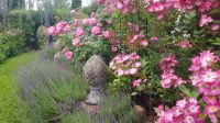 Strobl - im Garten von Elisabeth 10 &ndash; &copy; Anke Nicke (Eberhardt TRAVEL)