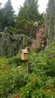 Strobl - im Garten von Elisabeth 17 &ndash; &copy; Anke Nicke (Eberhardt TRAVEL)