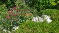 Alpengarten Bad Aussee 08 &ndash; &copy; Anke Nicke (Eberhardt TRAVEL)
