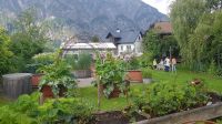Bad Goiser - im Garten von Rainer und Doris - Hochbeete  &ndash; &copy; Anke Nicke (Eberhardt TRAVEL)