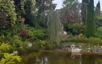 Strobl - im Garten von Elisabeth 07 &ndash; &copy; Anke Nicke (Eberhardt TRAVEL)