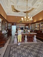 Stadtrundgang durch Bratislava mit Andrea: alte Apotheke &ndash; &copy; Andrey Kulikov (Eberhardt TRAVEL)