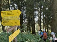 SalzAlpenSteig Etappe 11: Abstieg nach Kuchl &ndash; &copy; Patrick Fritzsche-Vorwerg (Eberhardt TRAVEL)