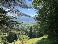 SalzAlpenSteig Etappe 11: Golling im Blick &ndash; &copy; Patrick Fritzsche-Vorwerg (Eberhardt TRAVEL)