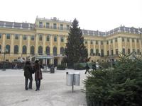 Neujahrsmarkt am Schloss