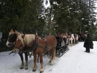 Pferdeschlittenfahrt zur PritzhÜtte