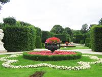 Rosengarten in Schönbrunn