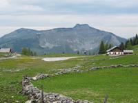 Hochalm am Tratberg