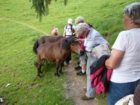 Wanderung zur Schnapsbrennerei
