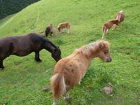 Wanderung zur Schnapsbrennerei