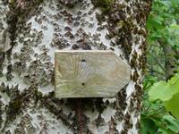 Auf dem Jakobsweg in Tirol