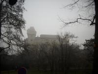 Fahrt zum Wienerwald