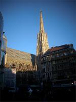 Vor dem Stephansdom