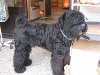 Security in Königssee