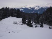 Spaziergang rund um die Naggler Alm