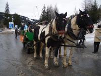 Pferdeschlittenfahrt zur Pritzhütte