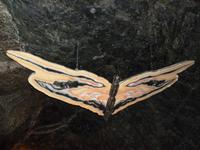 Granatium &ndash; &copy; Kerstin Hugel (Eberhardt TRAVEL)