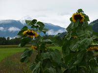 Blick auf die Reiseckgruppe &ndash; &copy; Kerstin Hugel (Eberhardt TRAVEL)