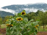 Blick auf die Reiseckgruppe &ndash; &copy; Kerstin Hugel (Eberhardt TRAVEL)