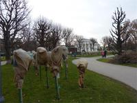 Garten von der Hofburg