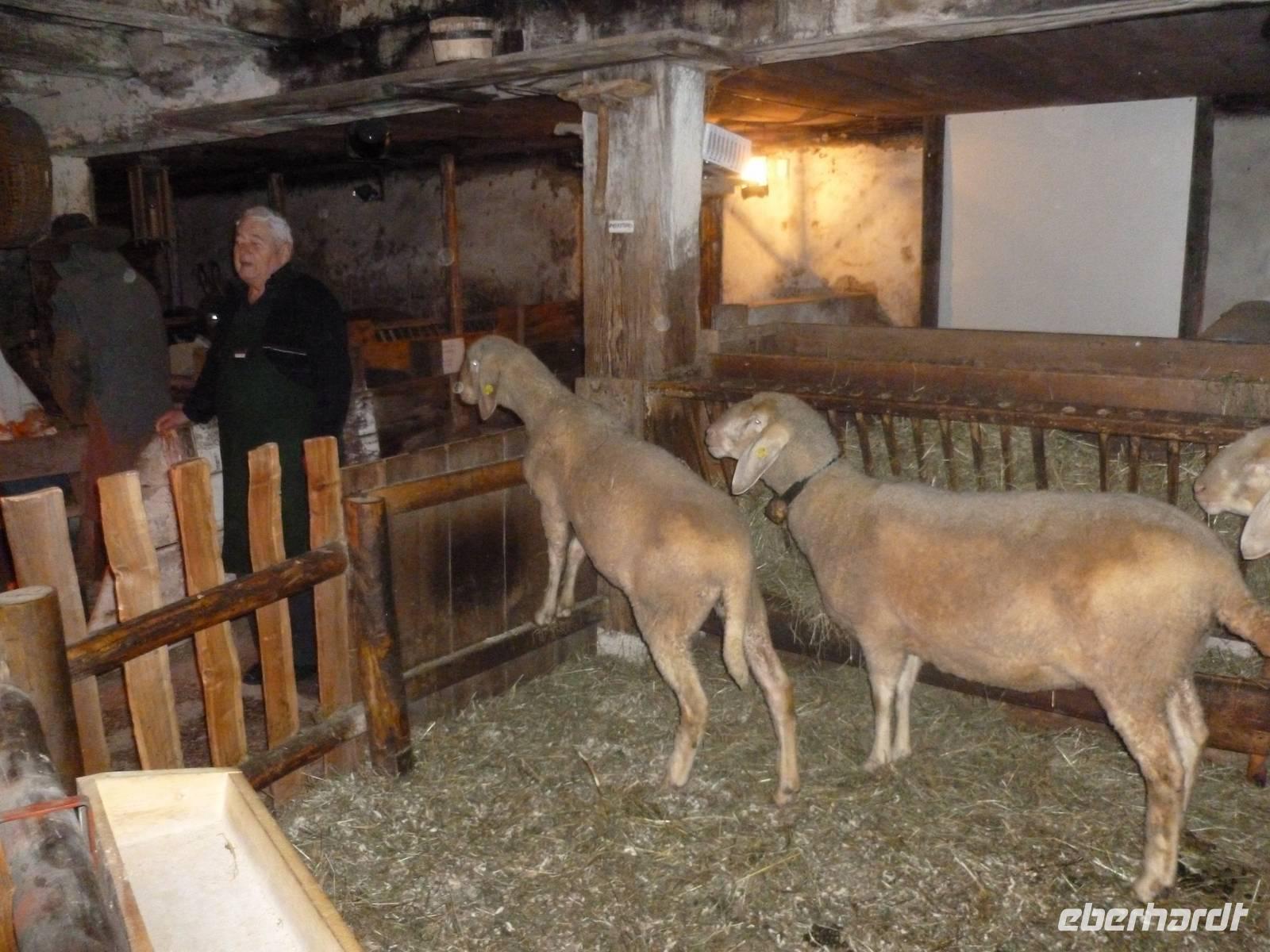 Bergweihnacht im Sixenhof in Achenkirch