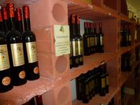 Besuch und Verkostung in der Edelbrennerei Kostenzer